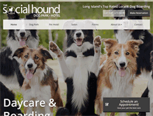 Tablet Screenshot of mysocialhound.com